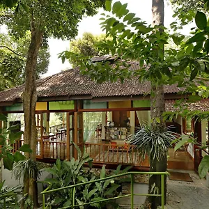  Lodge Ambong Rainforest Retreat